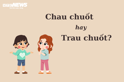 “Chau chuốt” hay “trau chuốt” mới đúng chính tả? - ảnh 1