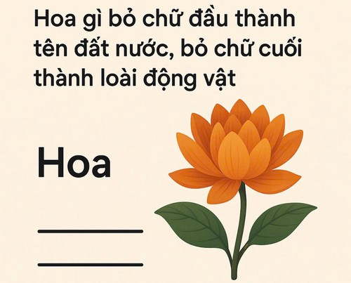 Hoa gì bỏ chữ đầu thành tên đất nước, bỏ chữ cuối thành tên loài động vật? - ảnh 1