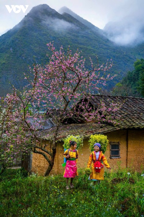 Hà Giang: Bản tình ca trên đá và những mùa xuân không tuổi - ảnh 12