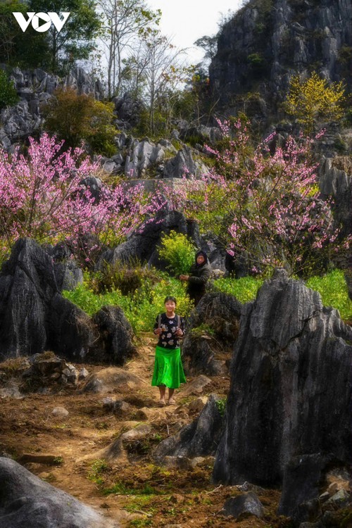 Hà Giang: Bản tình ca trên đá và những mùa xuân không tuổi - ảnh 13
