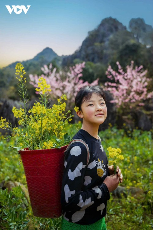 Hà Giang: Bản tình ca trên đá và những mùa xuân không tuổi - ảnh 15