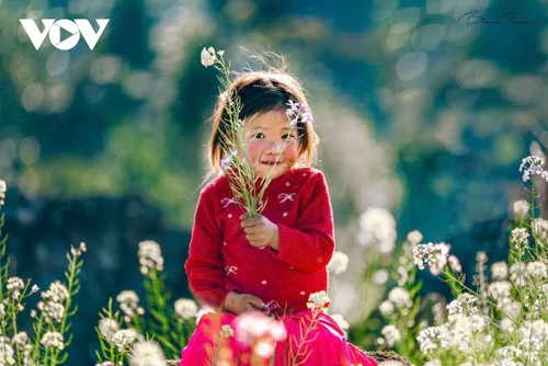 Hà Giang: Bản tình ca trên đá và những mùa xuân không tuổi - ảnh 3