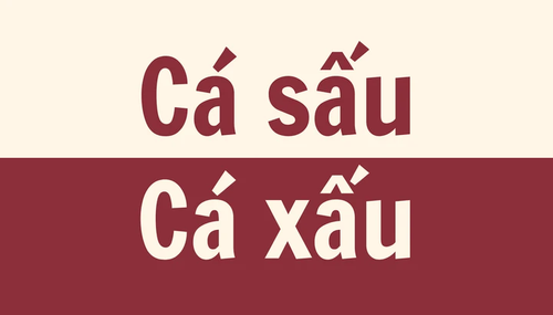 “Cá sấu” hay “cá xấu”, đâu mới là cách viết đúng chính tả? - ảnh 1