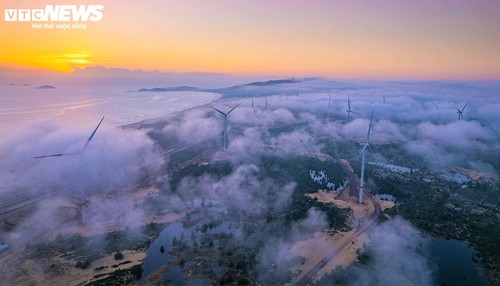 Ngắm những cánh đồng điện gió đem “lợi đơn lợi kép” cho Gia Lai - ảnh 13