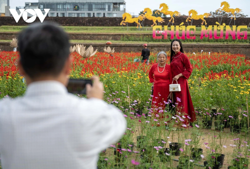 Check-in khu vườn tạo hình hoa sen khổng lồ tại Huế - ảnh 10
