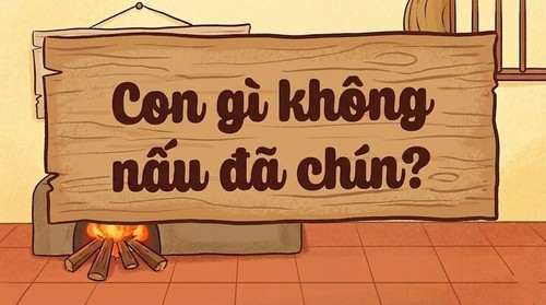 Đố bạn, con gì không nấu đã chín? - ảnh 1