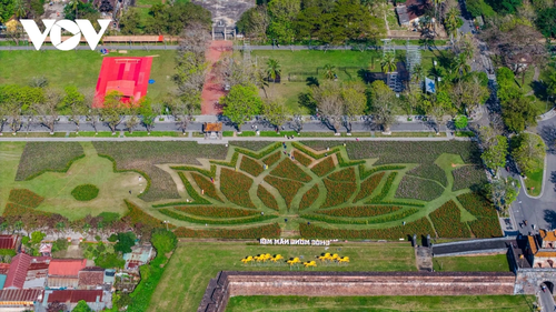 Check-in khu vườn tạo hình hoa sen khổng lồ tại Huế - ảnh 11