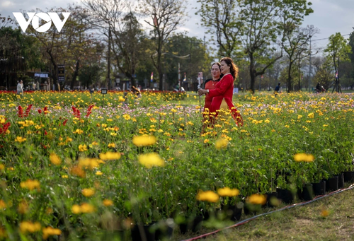 Check-in khu vườn tạo hình hoa sen khổng lồ tại Huế - ảnh 6