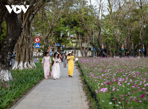 Check-in khu vườn tạo hình hoa sen khổng lồ tại Huế - ảnh 8