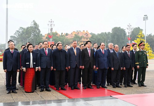 Lãnh đạo Đảng, Nhà nước vào Lăng viếng Chủ tịch Hồ Chí Minh nhân dịp Tết Bính Ngọ - ảnh 3