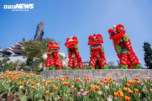  Đầu năm lên núi Bà Đen check-in với vườn hoa tulip rực sắc - ảnh 10