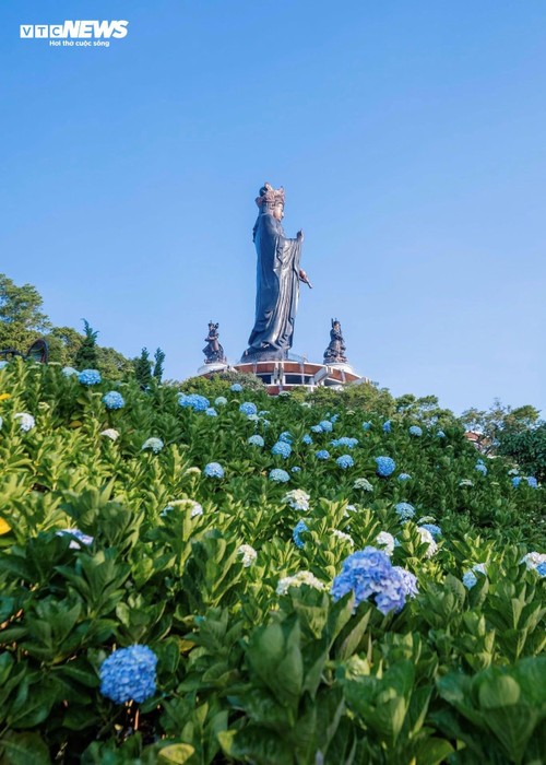  Đầu năm lên núi Bà Đen check-in với vườn hoa tulip rực sắc - ảnh 14