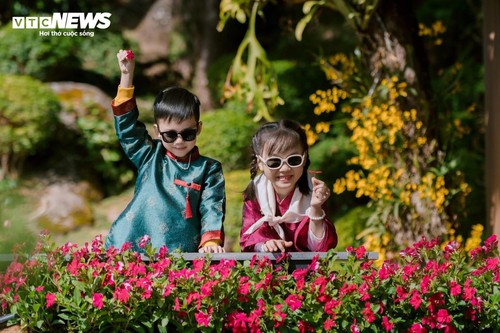  Đầu năm lên núi Bà Đen check-in với vườn hoa tulip rực sắc - ảnh 18