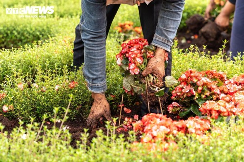  Đầu năm lên núi Bà Đen check-in với vườn hoa tulip rực sắc - ảnh 20