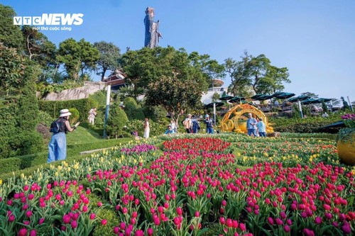  Đầu năm lên núi Bà Đen check-in với vườn hoa tulip rực sắc - ảnh 2