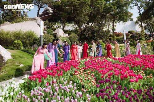  Đầu năm lên núi Bà Đen check-in với vườn hoa tulip rực sắc - ảnh 6