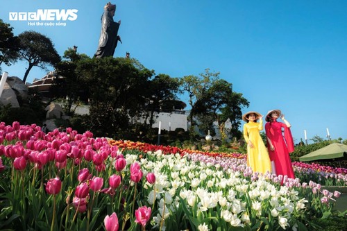  Đầu năm lên núi Bà Đen check-in với vườn hoa tulip rực sắc - ảnh 7