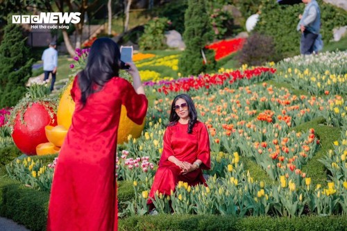  Đầu năm lên núi Bà Đen check-in với vườn hoa tulip rực sắc - ảnh 8