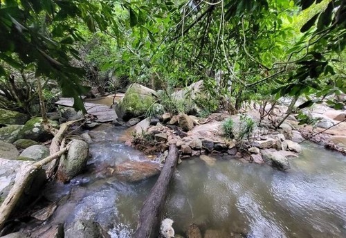 Khánh Hòa tăng tốc chuyển đổi du lịch xanh - ảnh 2