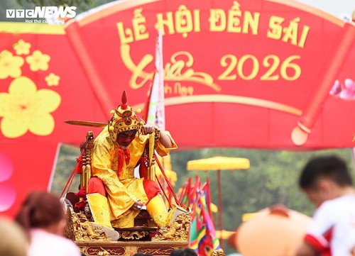 Độc đáo nghi lễ rước 'vua, chúa sống' tại lễ hội Đền Sái - ảnh 15