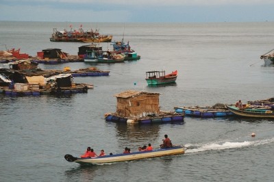 Kehidupan baru di pulau Hon Chuoi, provinsi Ca Mau - ảnh 1