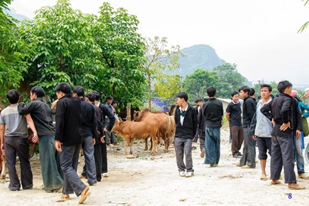 Keindahan daerah pegunungan di propinsi Ha Giang - ảnh 2