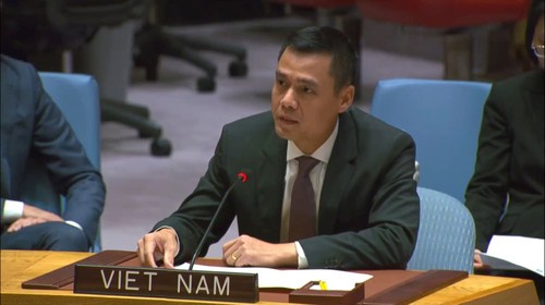 Le Vietnam réaffirme son engagement envers les opérations de maintien de la paix de l'ONU - ảnh 1