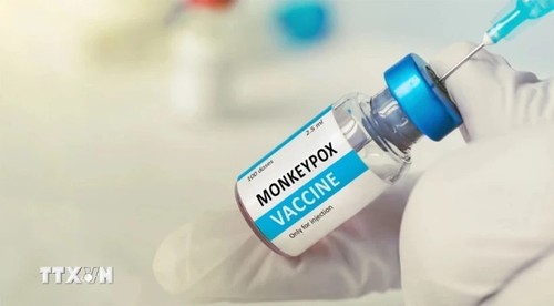 L'OMS approuve le premier vaccin contre la variole du singe - ảnh 1