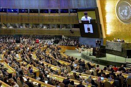 18 nouveaux membres au Conseil des droits de l’homme de l’ONU - ảnh 1