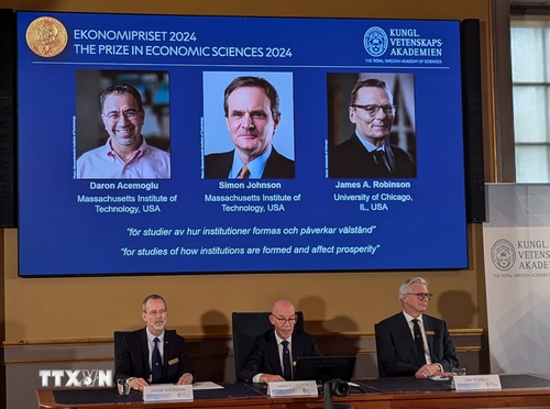 Le prix Nobel d’économie 2024 attribué à trois chercheurs pour leurs recherches sur les différences de prospérité entre les nations - ảnh 1