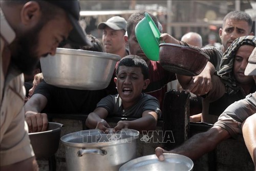 Gaza et Soudan: appel conjoint des grandes puissances pour un cessez-le-feu et une aide humanitaire - ảnh 1