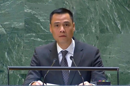 À l’ONU, le Vietnam plaide pour une désescalade au Moyen-Orient - ảnh 1