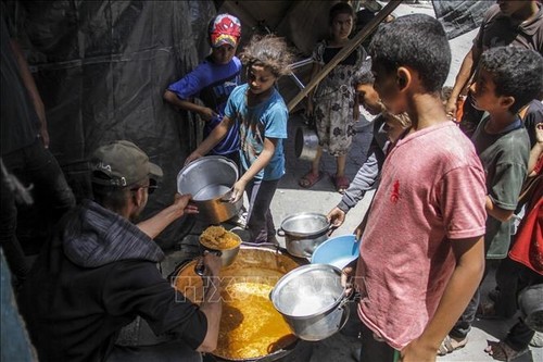 Le PAM alerte sur un risque imminent de famine dans le nord de Gaza - ảnh 1