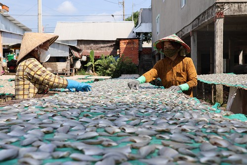 Visite du marché de poissons séchés de Tam Nông - ảnh 2