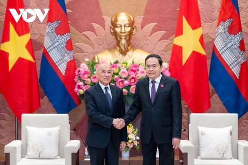 Pham Minh Chinh et Trân Thanh Mân rencontrent le roi du Cambodge  - ảnh 2