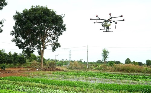 À Bà Ria - Vung Tàu, l’agriculture se met à l’heure de la transition numérique - ảnh 2