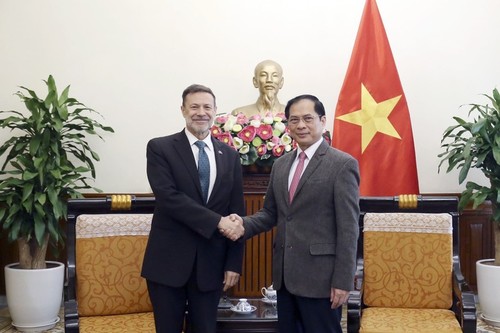 Bùi Thanh Son reçoit l'ambassadeur d'Australie sortant - ảnh 1