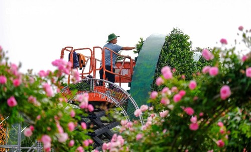 Mê Linh célèbre son patrimoine floral lors de son 2e Festival des Fleurs - ảnh 2