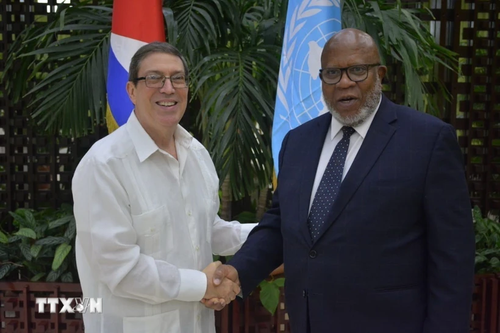 Embargo américain contre Cuba: l'ONU dénonce des conséquences désastreuses - ảnh 1