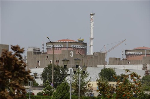 Centrale de Zaporizhia: l'AIEA maintient sa vigilance - ảnh 1
