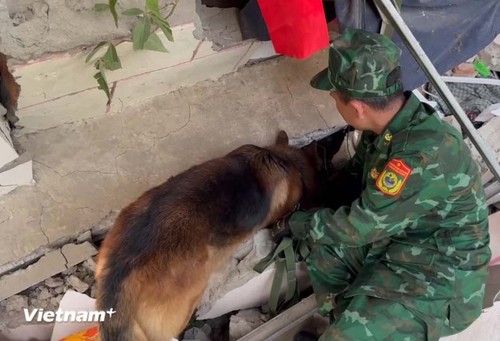 Forces vietnamiennes au Myanmar: une mission de secours face à la dévastation - ảnh 2