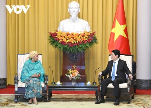 Le Vietnam est un membre actif et responsable de la communauté internationale. - ảnh 3