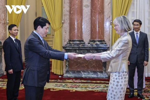 Luong Cuong reçoit des ambassadeurs  - ảnh 1