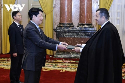 Luong Cuong reçoit des ambassadeurs  - ảnh 3