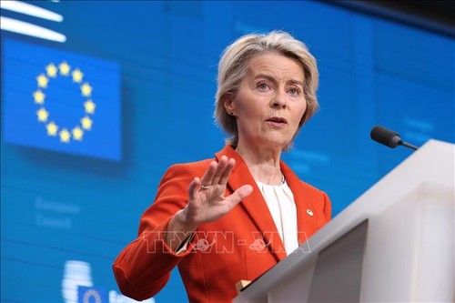 L’UE mobilise 500 millions d’euros pour attirer les chercheurs internationaux - ảnh 1