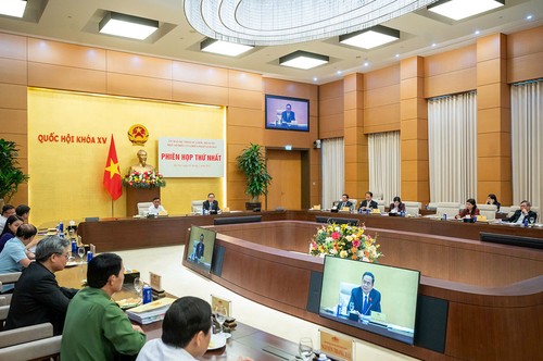 Consultation publique en ligne sur la révision de la Constitution de 2013 - ảnh 1