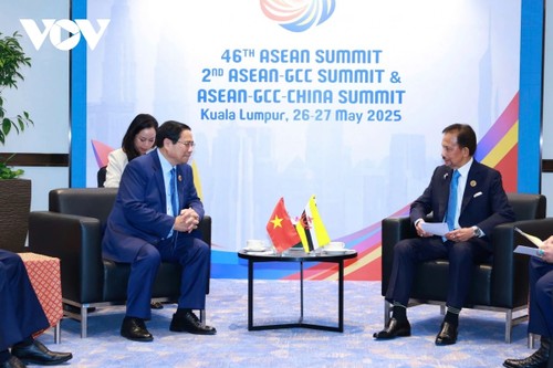 Rencontres de Pham Minh Chinh en marge du 46e Sommet de l’ASEAN - ảnh 1