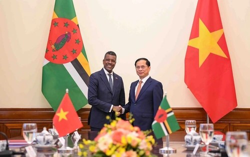 Vietnam-Dominique: vers l’ouverture d’une ambassade permanente  - ảnh 1