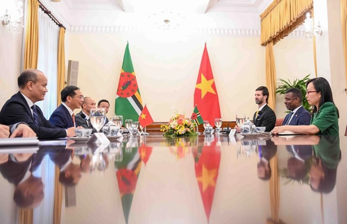 Vietnam-Dominique: vers l’ouverture d’une ambassade permanente  - ảnh 2