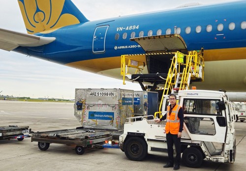 Les litchis du Vietnam débarquent en France - ảnh 2